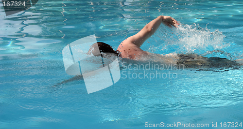 Image of Swimmer does freestyle