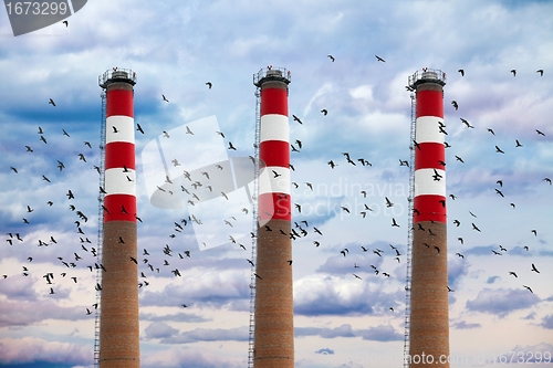 Image of Chimneys