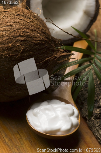 Image of Coconut and coconut oil 