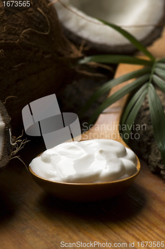 Image of Coconut and coconut oil 