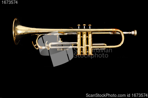 Image of golden trumpet