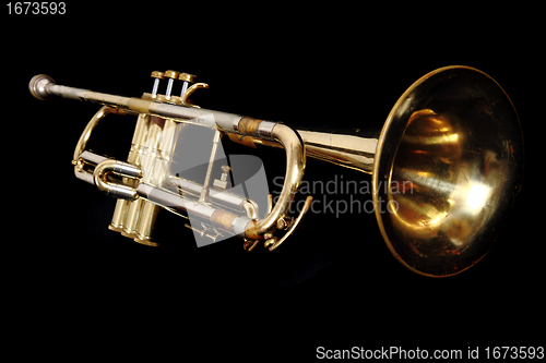 Image of golden trumpet