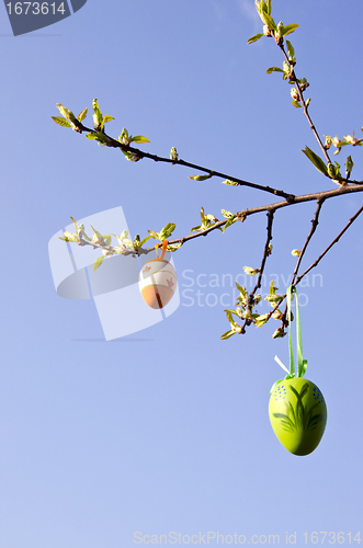 Image of apple tree branch grow in spring easter eggs hang 