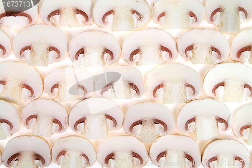 Image of Champignons