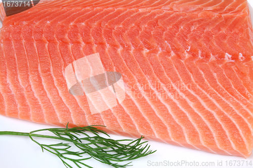 Image of Salmon