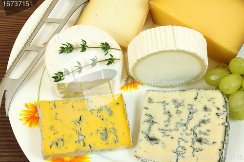 Image of Cheese