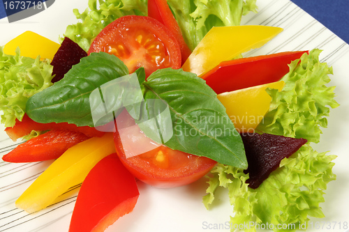 Image of Vegetarian salad