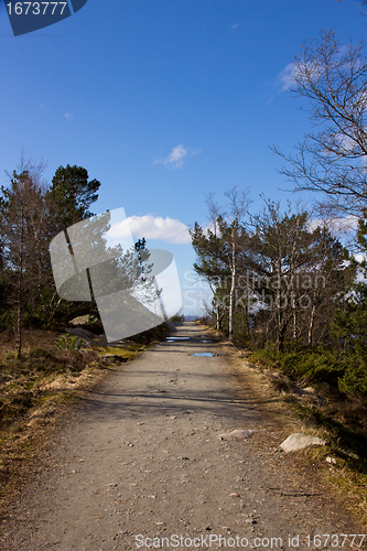 Image of Manmade pathway in nature