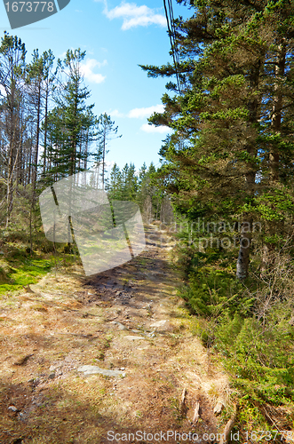 Image of Muddy road