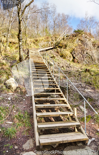 Image of Stairway in nature