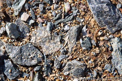 Image of Stone texture