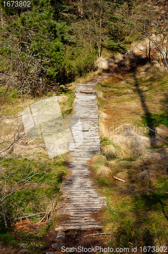 Image of Wooden pathway