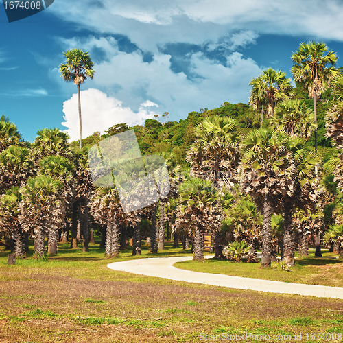 Image of Jungle Park
