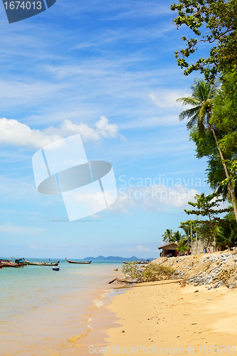 Image of Tropical Beach