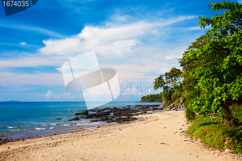 Image of Tropical Beach