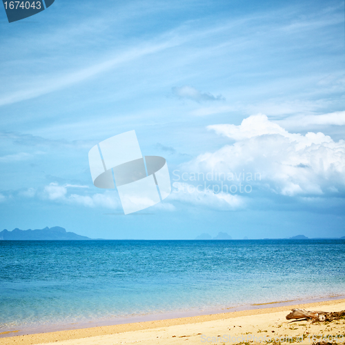 Image of Tropical Beach