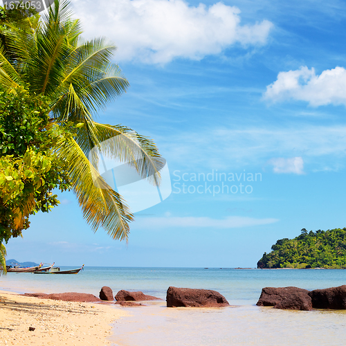Image of Tropical Beach