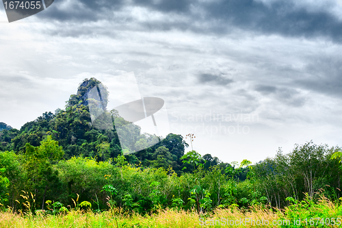 Image of Thai Mountain