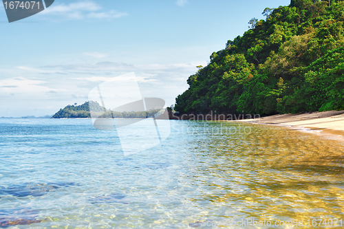 Image of Tropical Beach