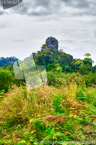 Image of Thai Mountain