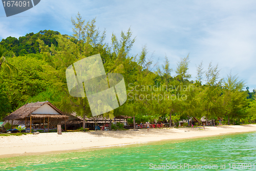 Image of Andaman Shore