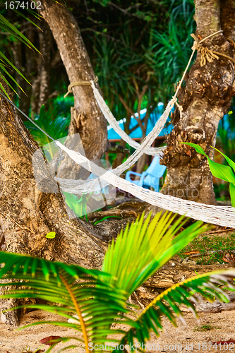 Image of Hammocks on Resort