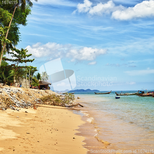 Image of Tropical Beach