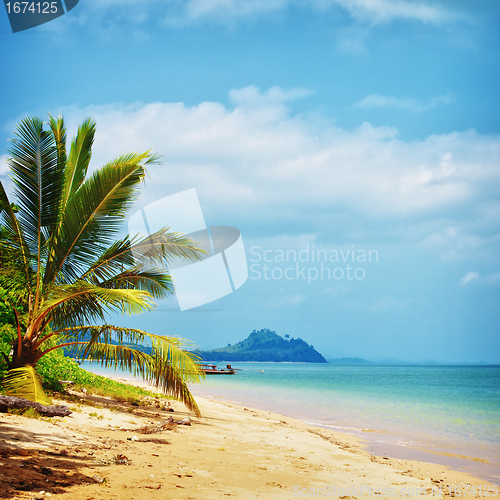 Image of Tropical Beach