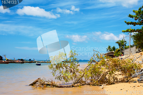 Image of Andaman Sea Shore