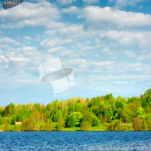 Image of Forest on a Lake