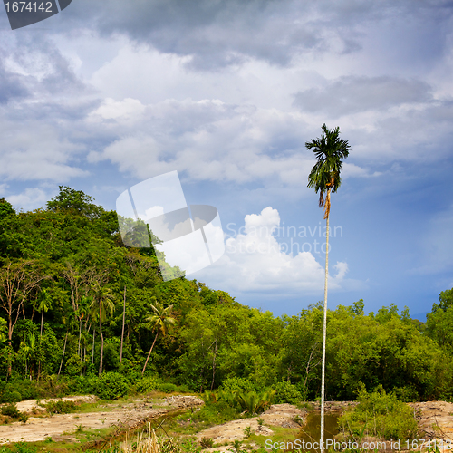 Image of Koh Lanta Noi