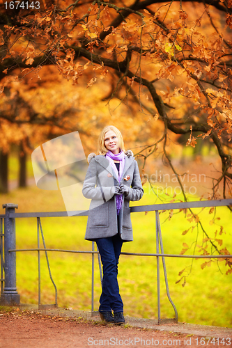 Image of Beautiful Girl in Park