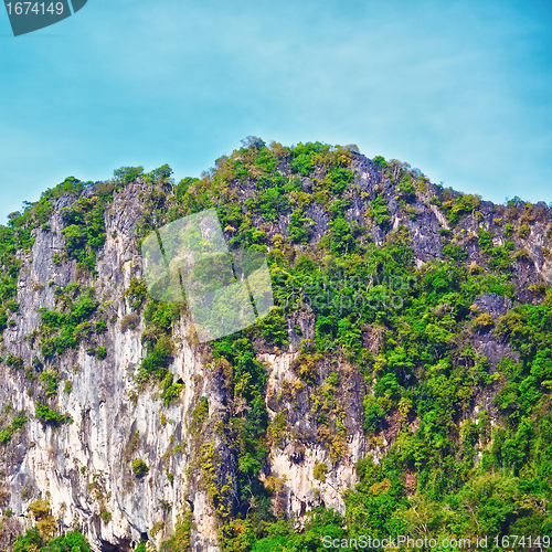 Image of Thai Mountains