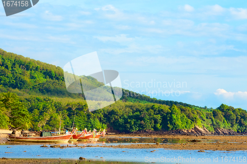 Image of Andaman Shore