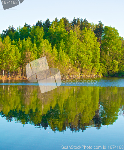 Image of Forest on a Lake