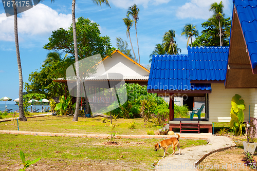 Image of Tropical Resort