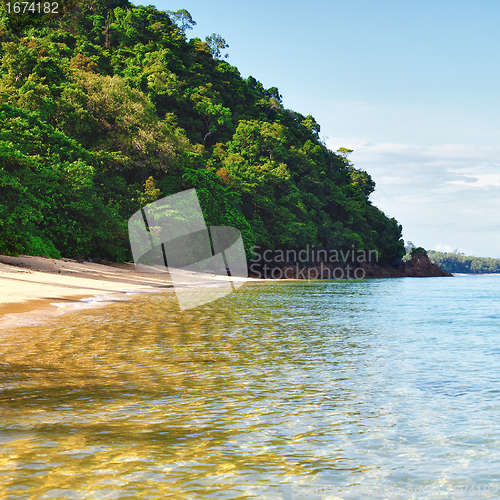 Image of Tropical Beach