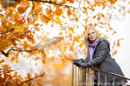 Image of Beautiful Girl in Park