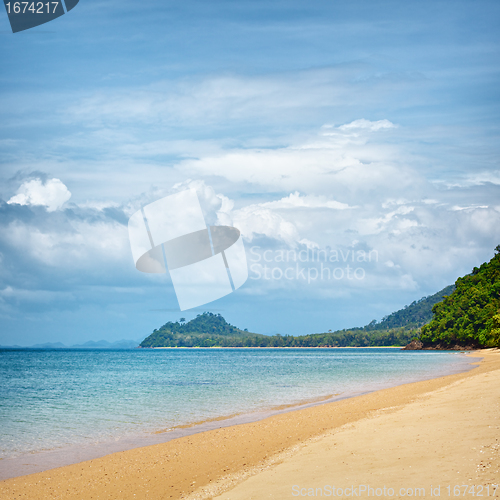 Image of Tropical Beach