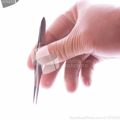 Image of hand in rubber glove holding tweezers