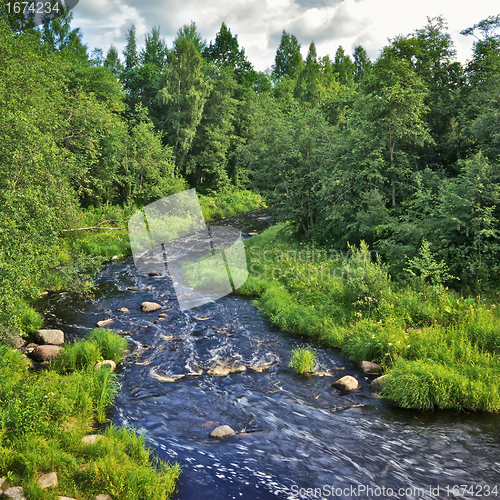 Image of Rough River