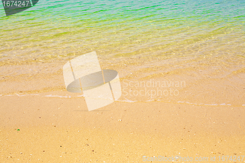 Image of Tropical Beach