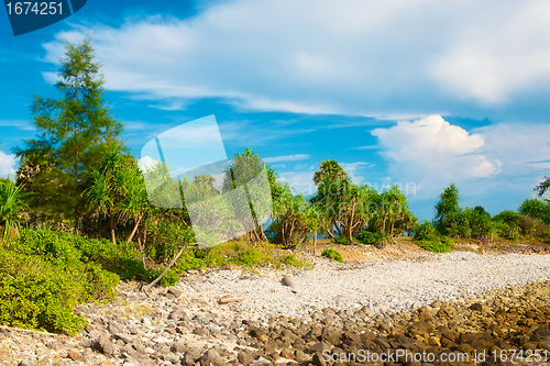 Image of Tropical Beach