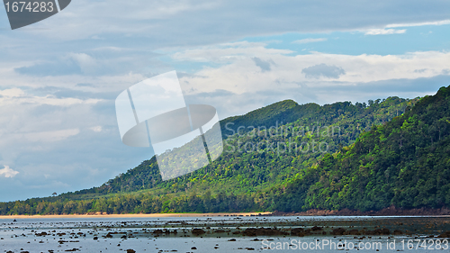 Image of Andaman Shore