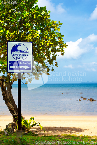 Image of Tsunami Evacuation Route Sign