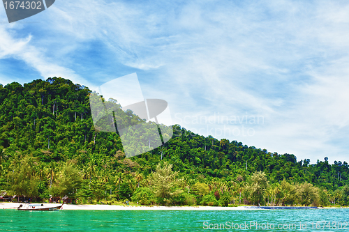 Image of Andaman Shore