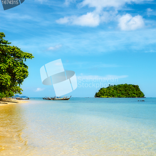 Image of Tropical Beach