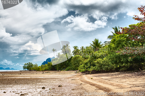 Image of Tropical Beach