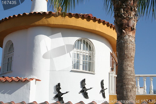 Image of Beautiful house with birds as decoration