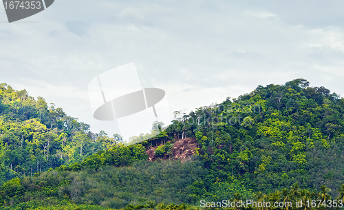 Image of Thai Mountains